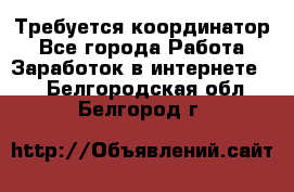 Требуется координатор - Все города Работа » Заработок в интернете   . Белгородская обл.,Белгород г.